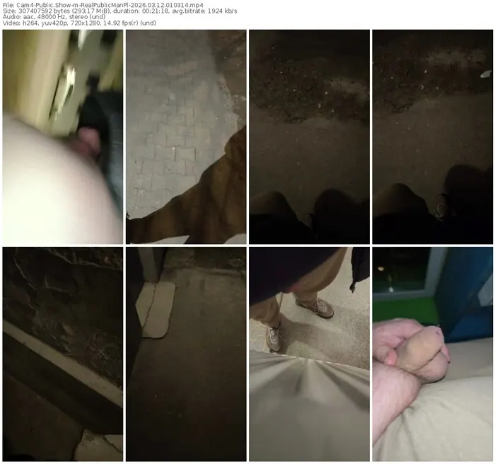 cam4-realpublicmanpl-03-12-2026-01-03-14