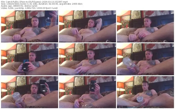 cam4-dilfiguess1-03-13-2026-15-18-47