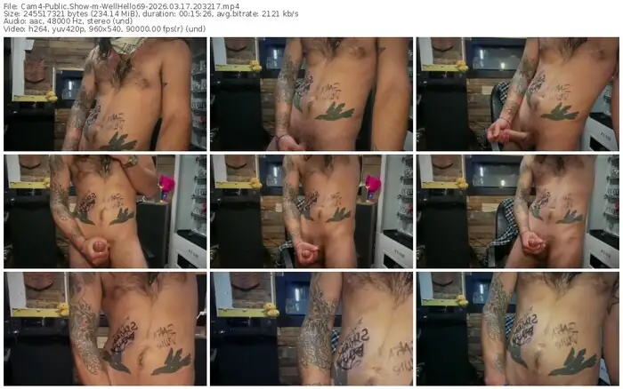 cam4-wellhello69-03-17-2026-20-32-17