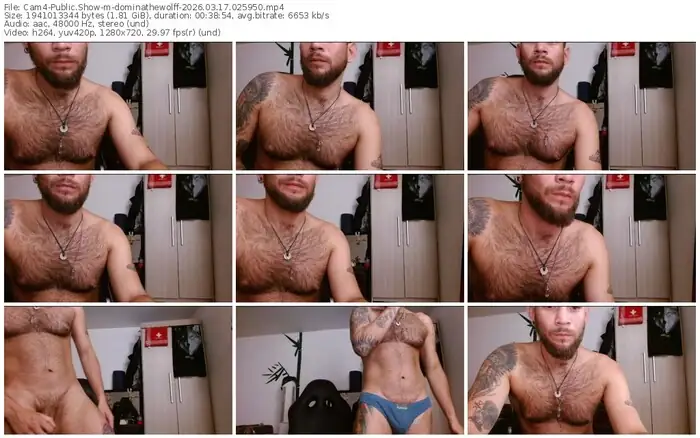 cam4-dominathewolff-03-17-2026-02-59-50