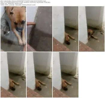 cam4-monster777daddy-03-20-2026-00-49-05