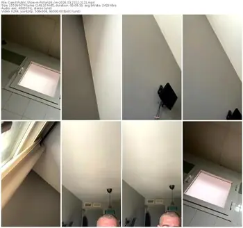 cam4-pollon29_cm-03-23-2026-11-21-21