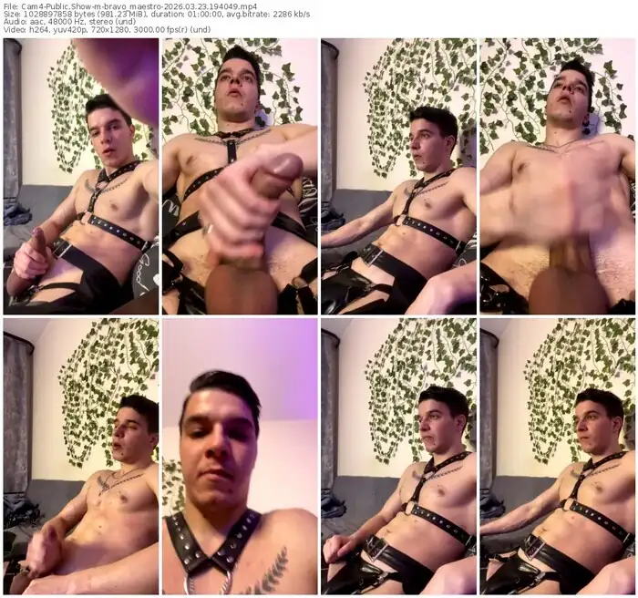 cam4-bravo_maestro-03-23-2026-19-40-49