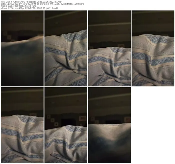 cam4-speziata-03-25-2026-22-21-37