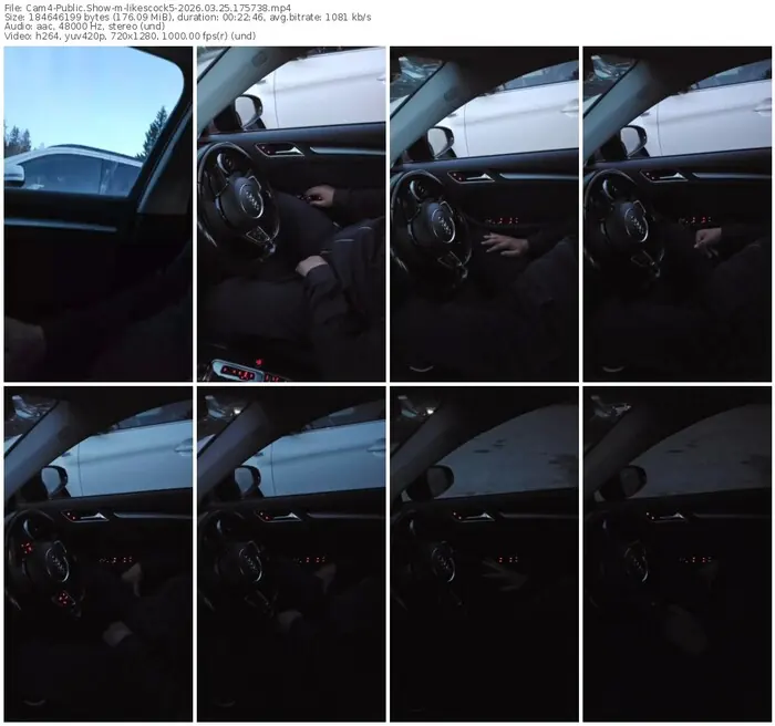 cam4-likescock5-03-25-2026-17-57-38