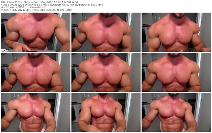 cam4-vecinito_-03-26-2026-13-45-01