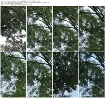 cam4-outdoorsd-03-29-2026-22-36-58