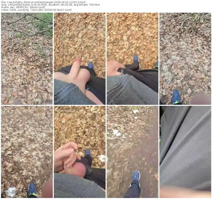 cam4-imfreienzeigen-04-01-2026-11-00-13