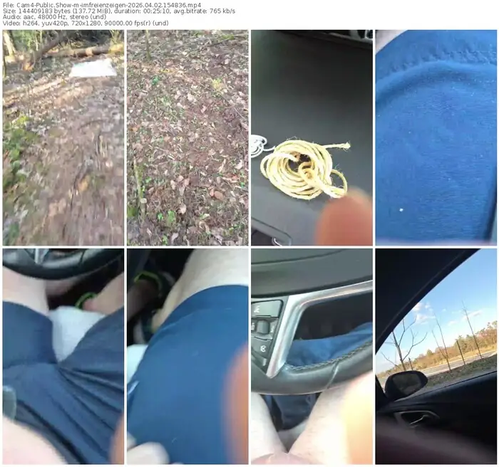 cam4-imfreienzeigen-04-02-2026-15-48-36