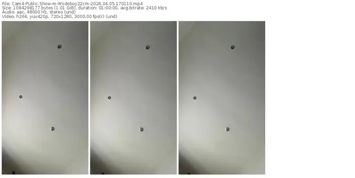 cam4-wiidoboy22cm-04-05-2026-17-01-10