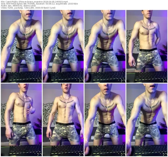 cam4-bravo_maestro-04-05-2026-14-05-03