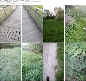 cam4-fox6900-04-07-2026-17-20-38