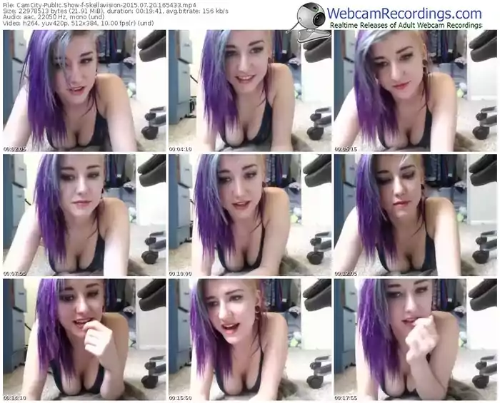 camcity-skellavision-public-show-07_20_2015-16_54_33