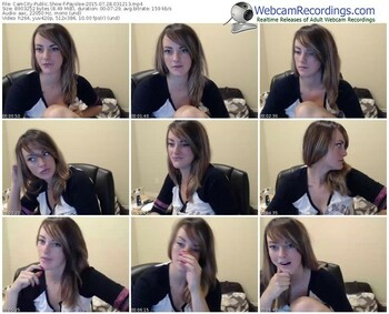 camcity-payslee-public-show-07_28_2015-03_12_13