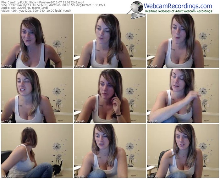 camcity-payslee-public-show-07_29_2015-01_52_42