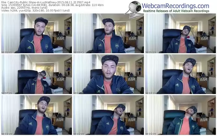 camcity-lucmathieu-public-show-08_11_2015-21_35_07