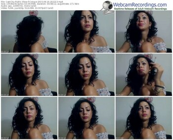 camcity-cessye-public-show-08_16_2015-20_22_13
