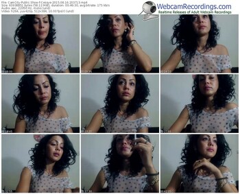 camcity-cessye-public-show-08_16_2015-20_37_13