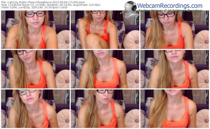 camcity-roseroyce-public-show-09_06_2015-17_12_05