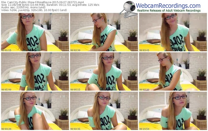 camcity-roseroyce-public-show-09_07_2015-06_37_21