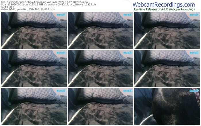 camsoda-dropping-wet-rose-10-07-2022-18-09-55