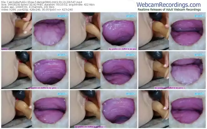 camsoda-danigirl866-03-10-2023-20-15-47