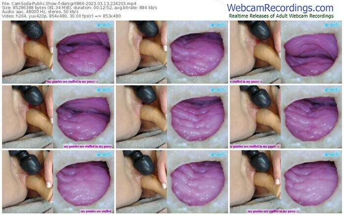 camsoda-danigirl866-03-13-2023-22-42-03