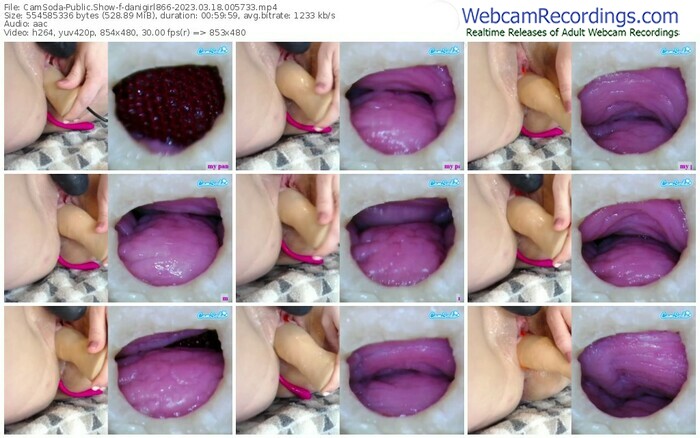 camsoda-danigirl866-03-18-2023-00-57-33