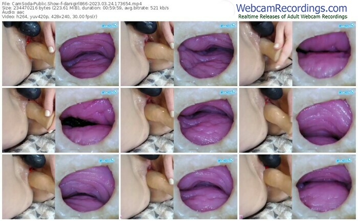 camsoda-danigirl866-03-24-2023-17-36-54