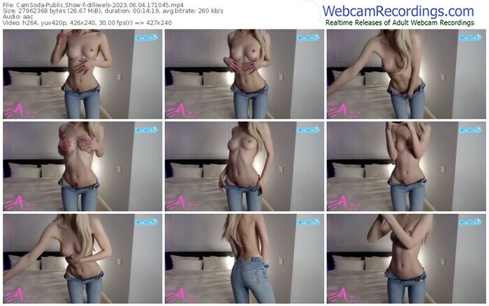 camsoda-dilliwels-06-04-2023-17-10-45