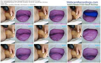camsoda-danigirl866-06-12-2023-21-27-12