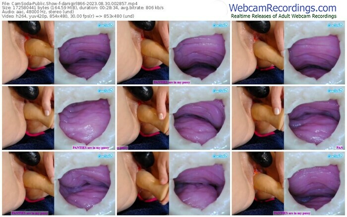 camsoda-danigirl866-08-30-2023-00-28-57