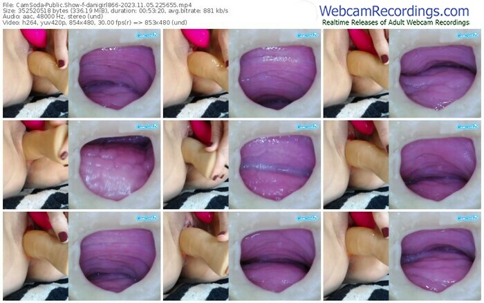 camsoda-danigirl866-11-05-2023-22-56-55