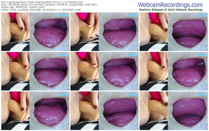 camsoda-danigirl866-11-10-2023-19-48-28