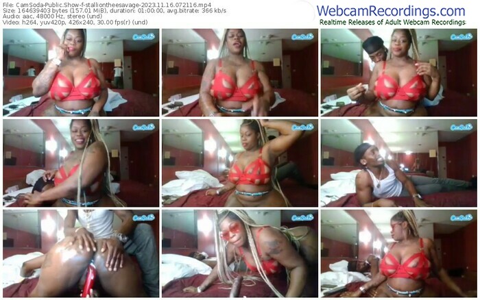 camsoda-stalliontheesavage-11-16-2023-07-21-16