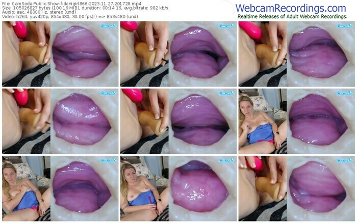 camsoda-danigirl866-11-27-2023-20-17-28