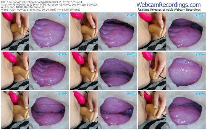 camsoda-danigirl866-11-27-2023-22-15-03