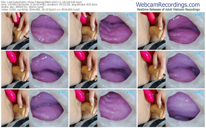camsoda-danigirl866-11-28-2023-20-02-29