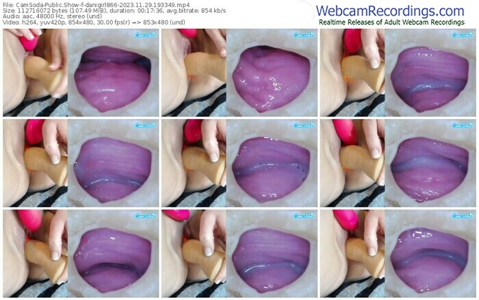 camsoda-danigirl866-11-29-2023-19-33-49