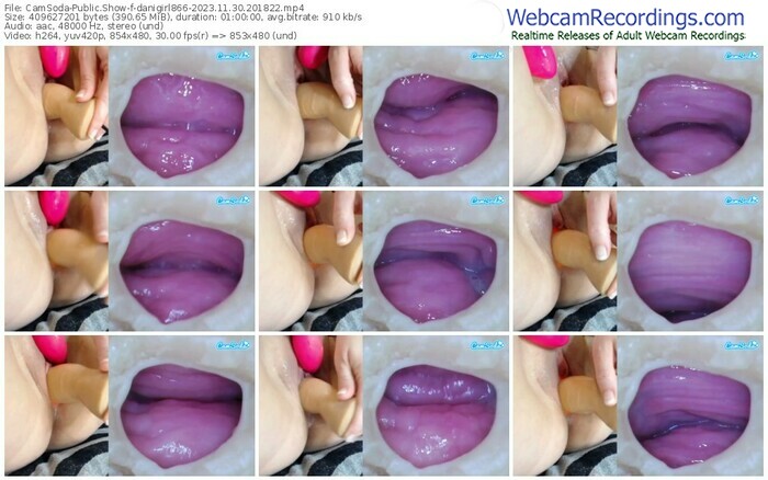 camsoda-danigirl866-11-30-2023-20-18-22