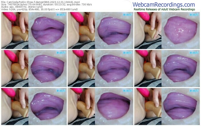 camsoda-danigirl866-12-01-2023-19-44-41
