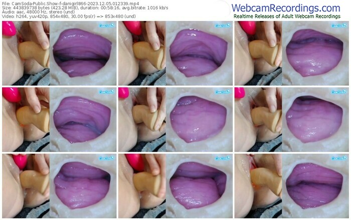 camsoda-danigirl866-12-05-2023-01-23-39
