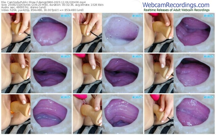 camsoda-danigirl866-12-06-2023-02-04-30