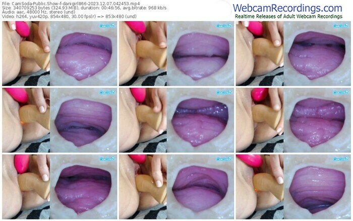 camsoda-danigirl866-12-07-2023-04-24-53