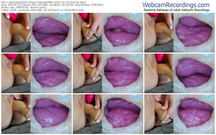 camsoda-danigirl866-12-19-2023-01-51-18