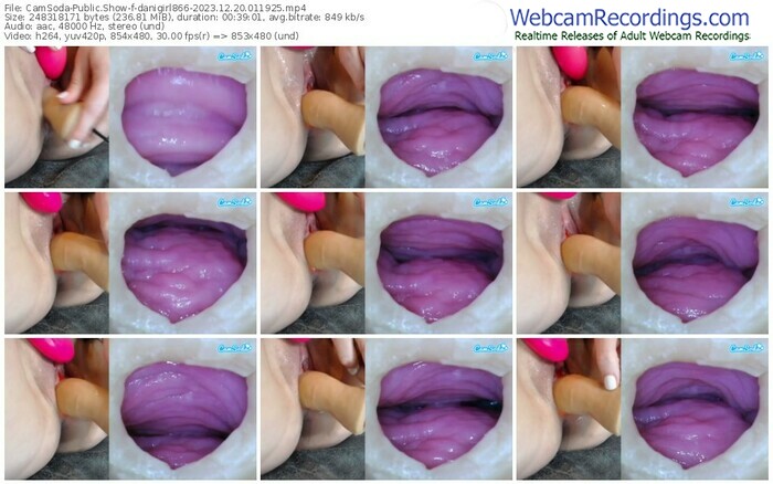 camsoda-danigirl866-12-20-2023-01-19-25