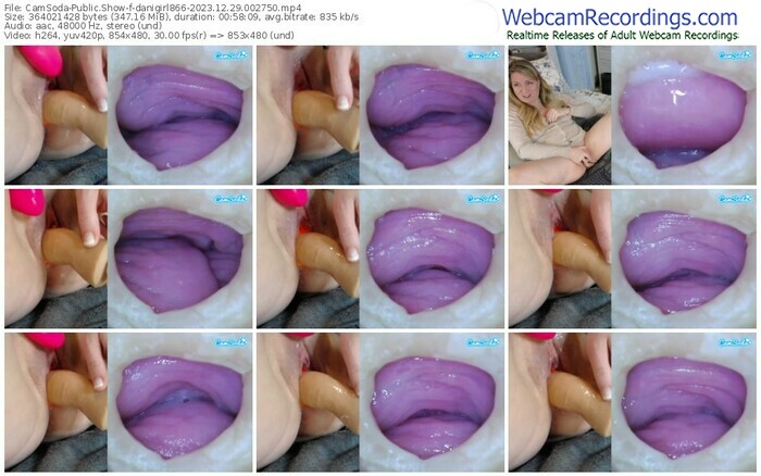 camsoda-danigirl866-12-29-2023-00-27-50