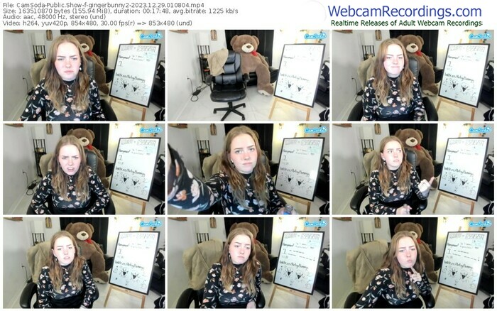 camsoda-gingerbunny2-12-29-2023-01-08-04