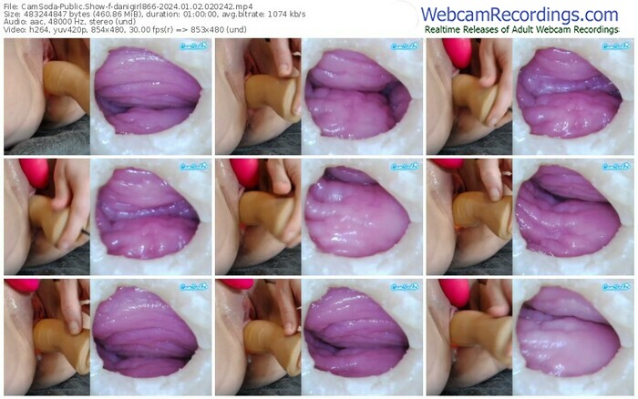 camsoda-danigirl866-01-02-2024-02-02-42