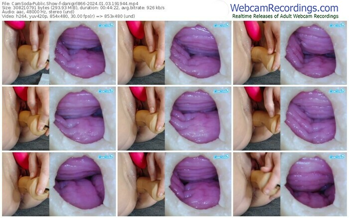 camsoda-danigirl866-01-03-2024-19-19-44